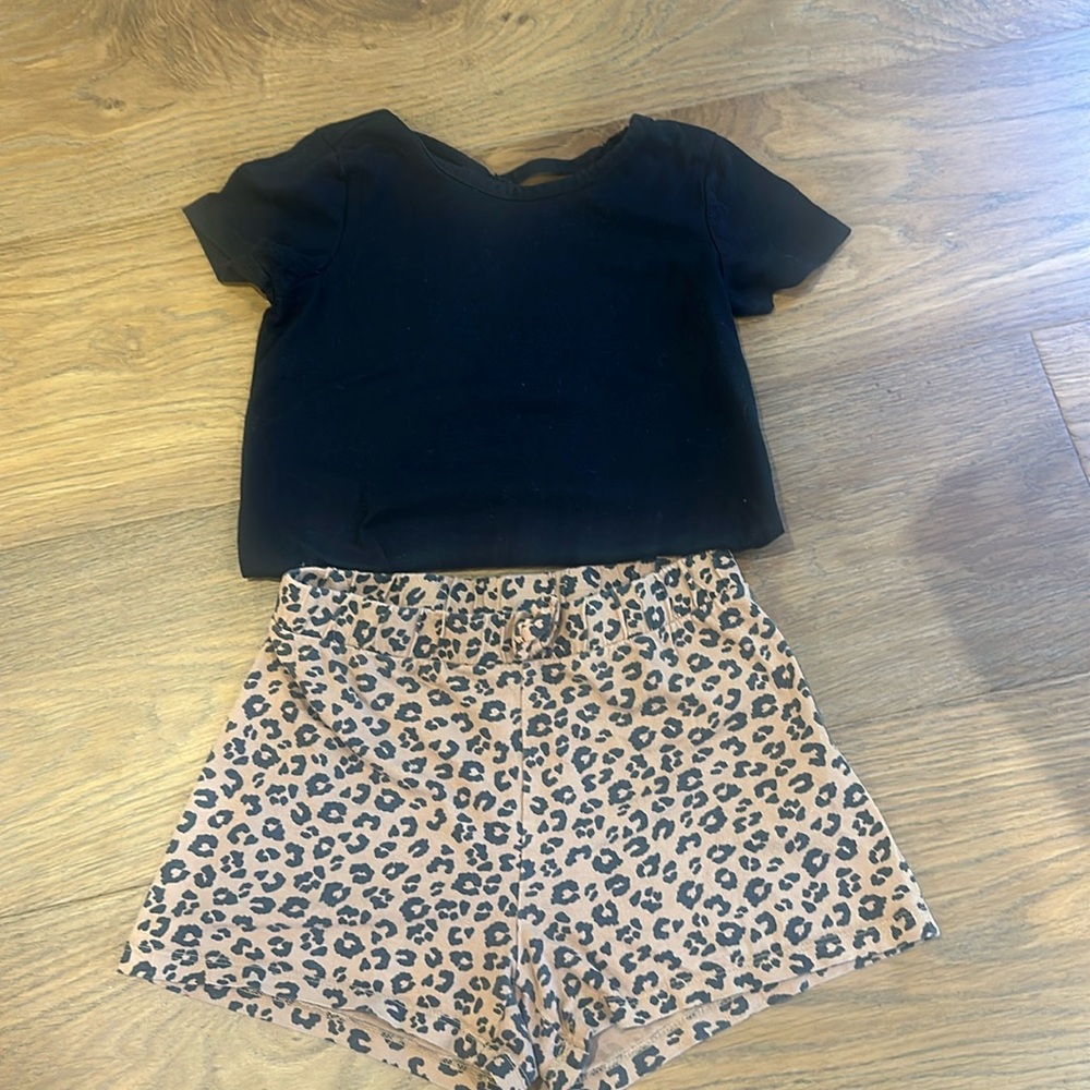 H&M leopard shorts (free shirt!)